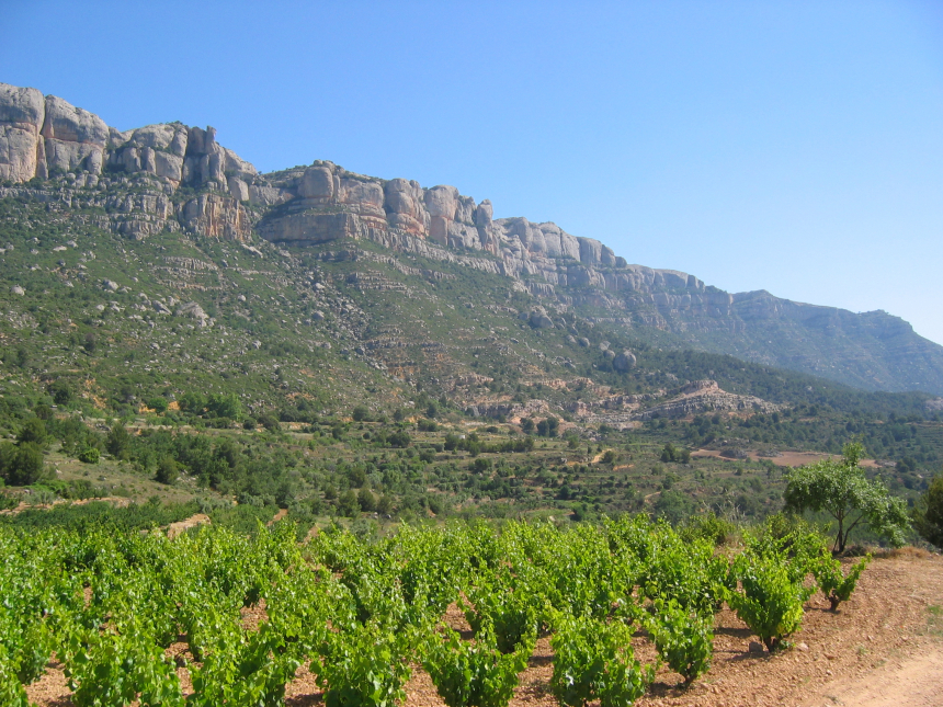 Serra-de-Montsant-600x450.jpg