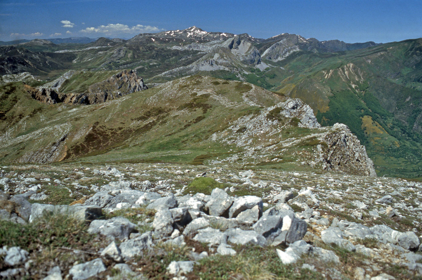 SomiedoOP-ana2-600x397.jpg SomiedoOP-ana2-600x397.jpg