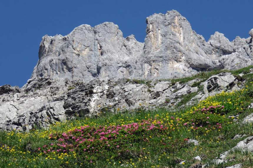 Sulzfluh-2-600x398.jpg Sulzfluh-2