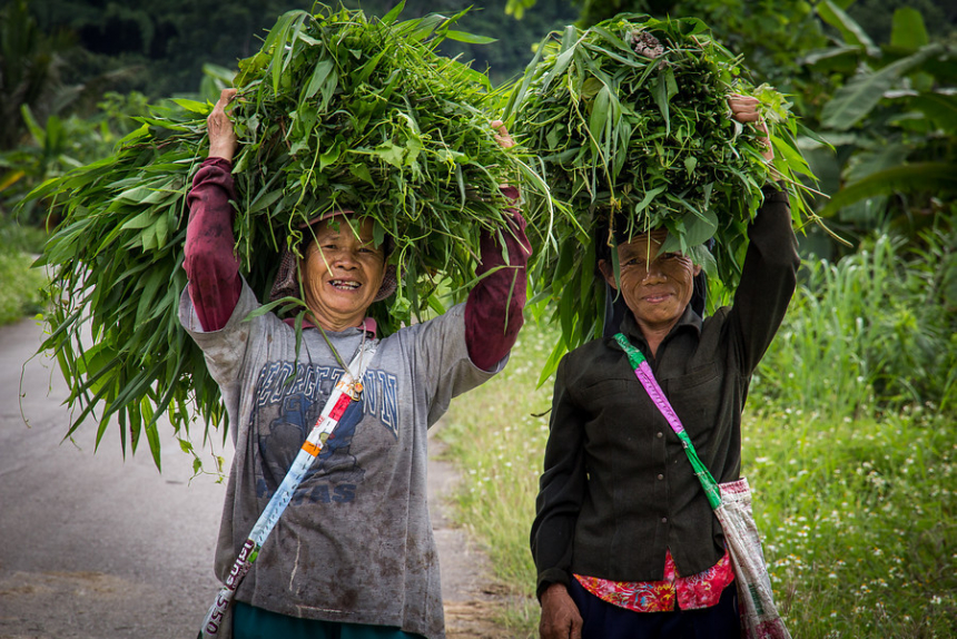 Fietsen Noord-Thailand