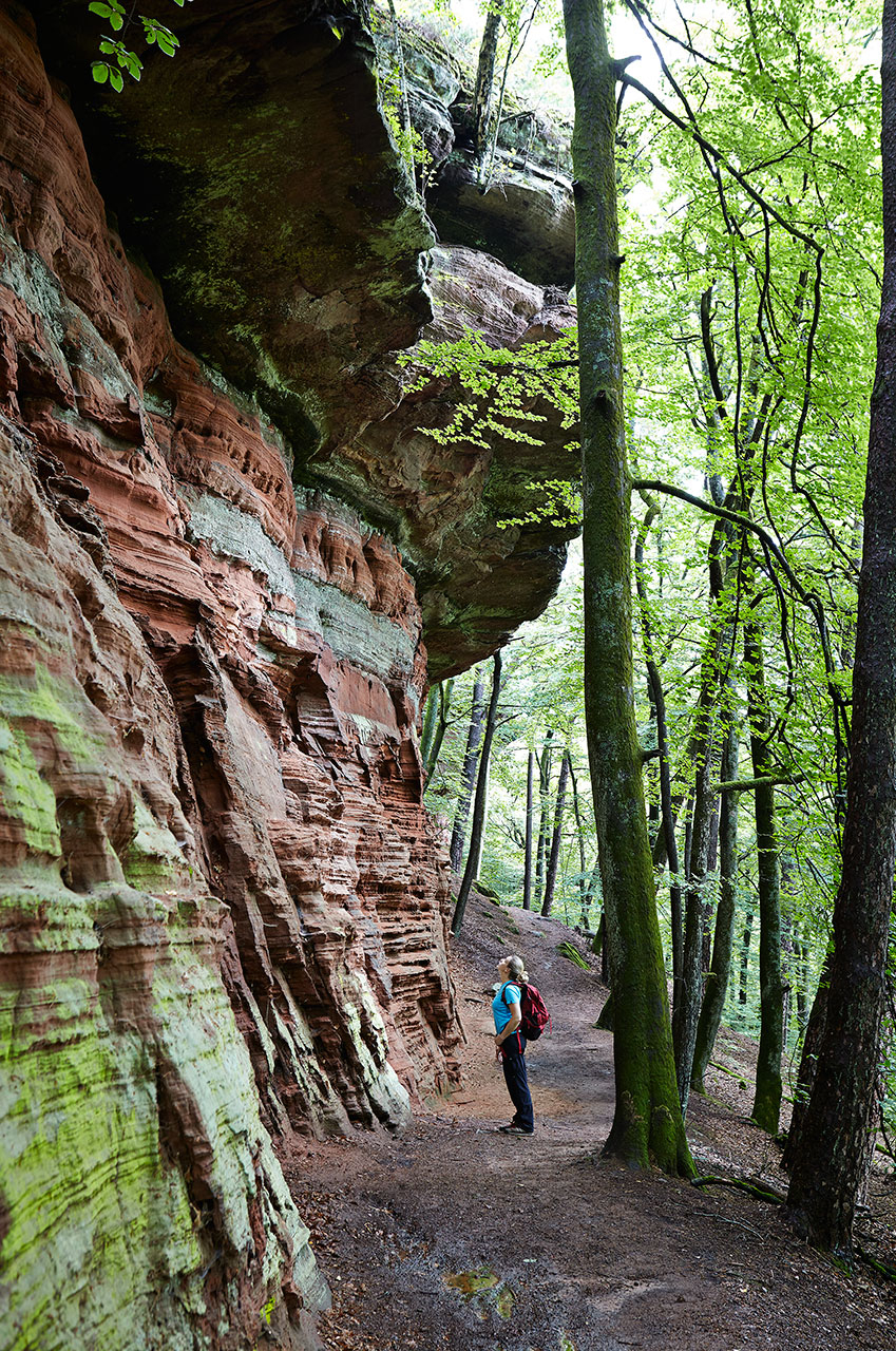 Vogezen-10-398x600.jpg Zandsteenformaties bij Roppeville.