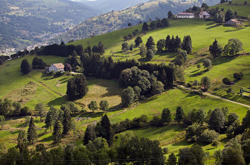 Vogezen-6-600x398.jpg Vogezen-6