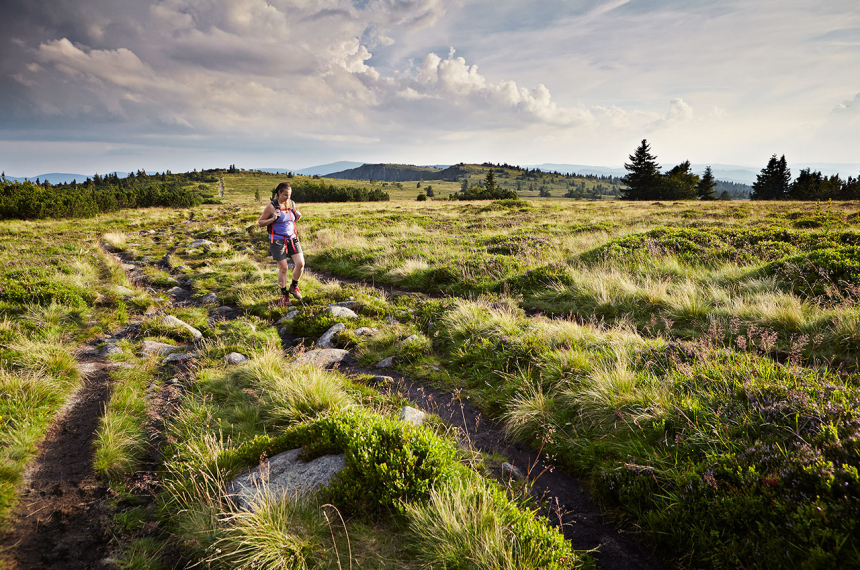 Vogezen-7-600x398.jpg Hautes Chaumes boven Lac Blanc.