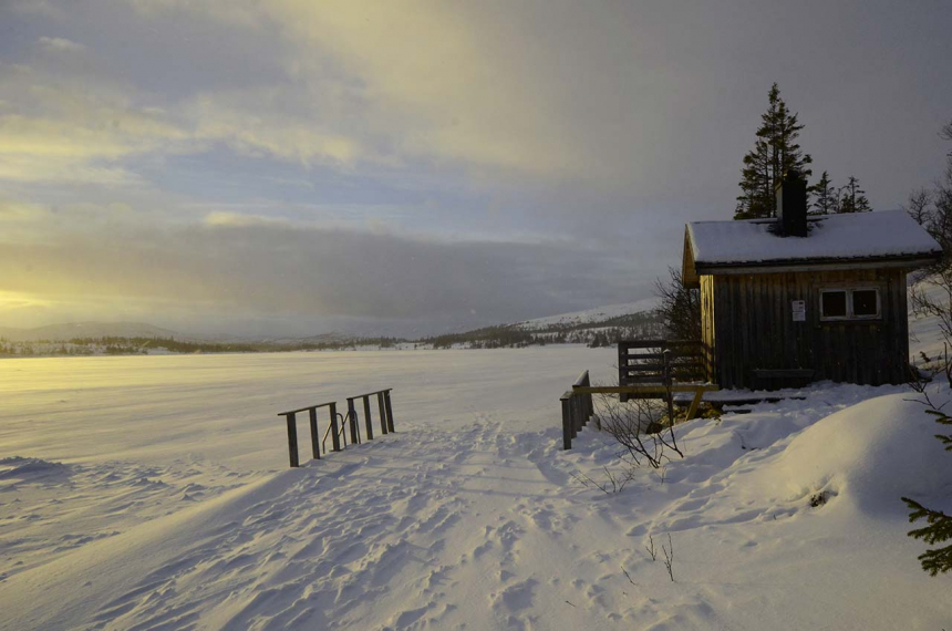 Zweden-11-600x398.jpg Zweden-11
