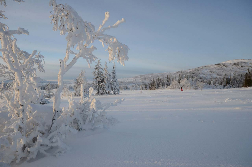 Zweden-6-600x398.jpg Sneeuwschoenwandelen in de bevroren wereld van Edsåsdalen