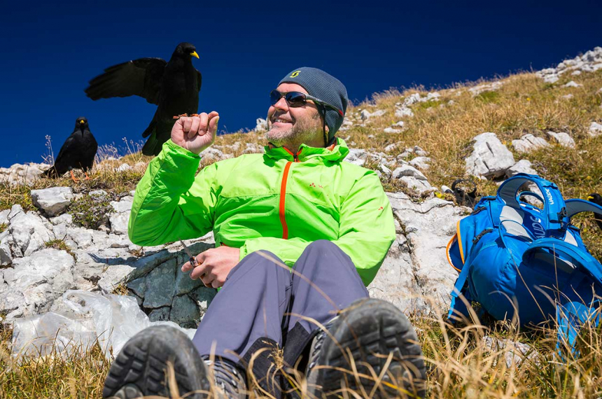 Alpenkauwen willen ook picknicken
