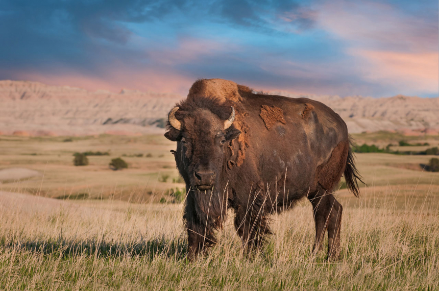 badlands-national-park-600x398.jpg badlands-national-park
