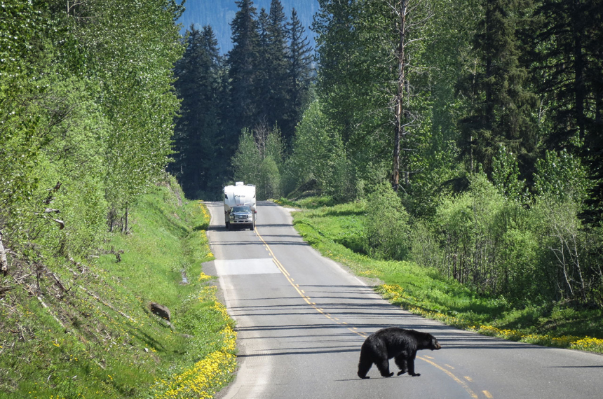 cycling-dutch-girl-6