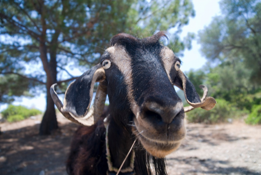 Turkije West Lycian Way