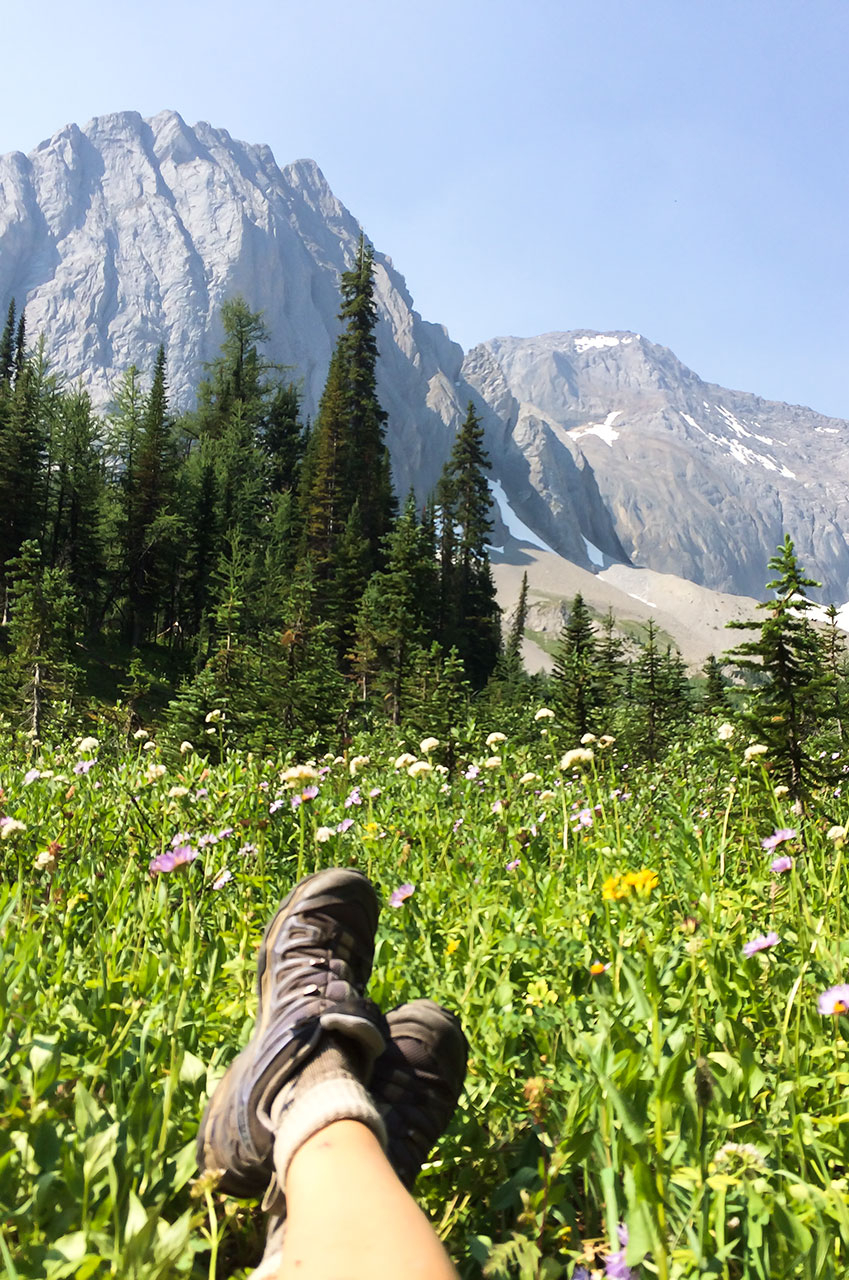 great-divide-trail-section-3-c-398x600.jpg great-divide-trail-section-3-c-398x600.jpg