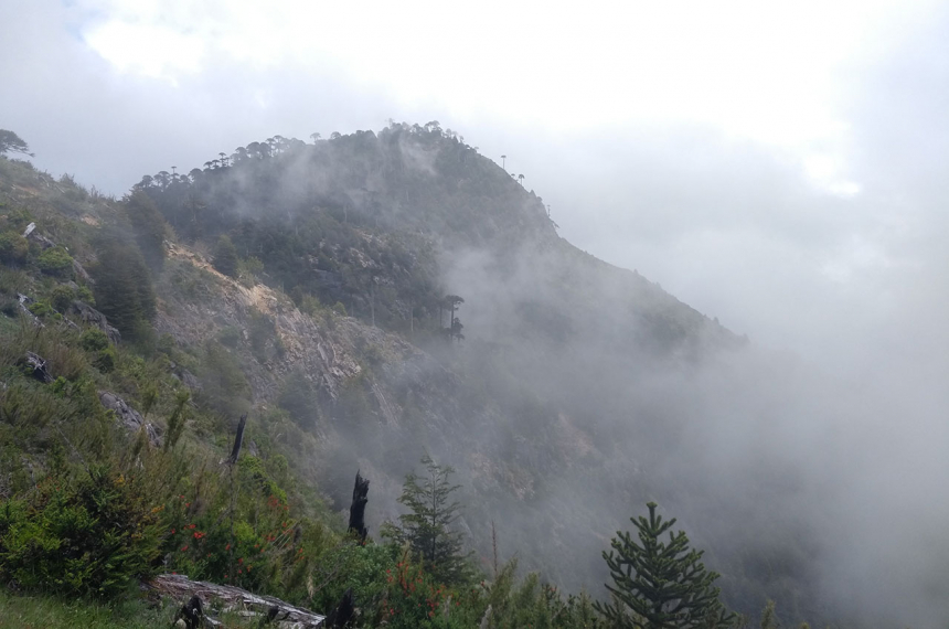 greater-patagonian-trail-c-600x398.jpg greater-patagonian-trail-c-600x398.jpg