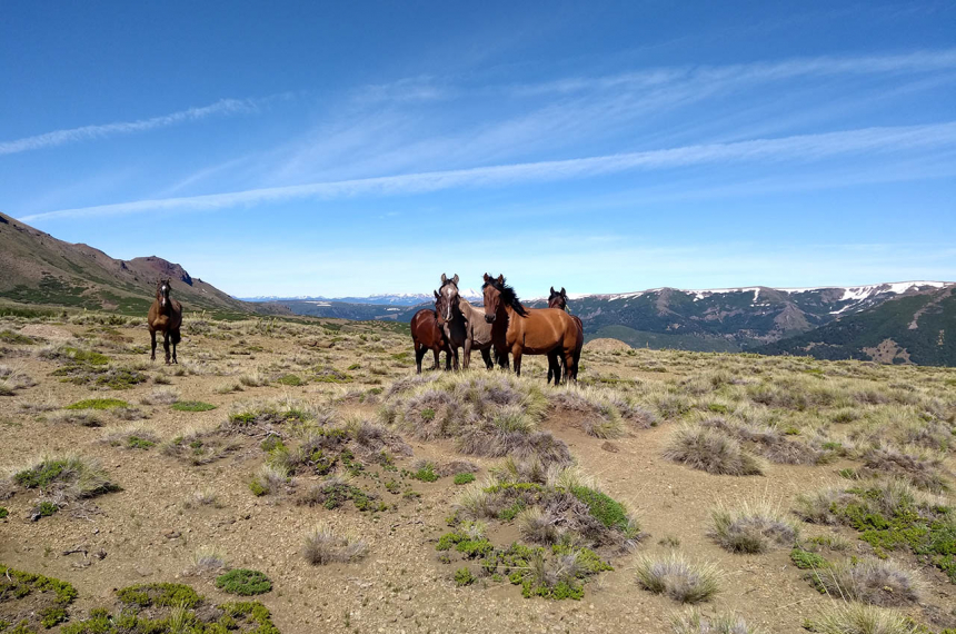 greater-patagonian-trail-h-600x398.jpg greater-patagonian-trail-h-600x398.jpg