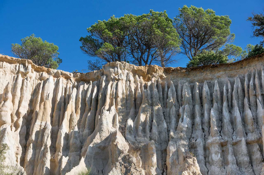 Orgelpijpen van kalk bij Ille-sur-Tet