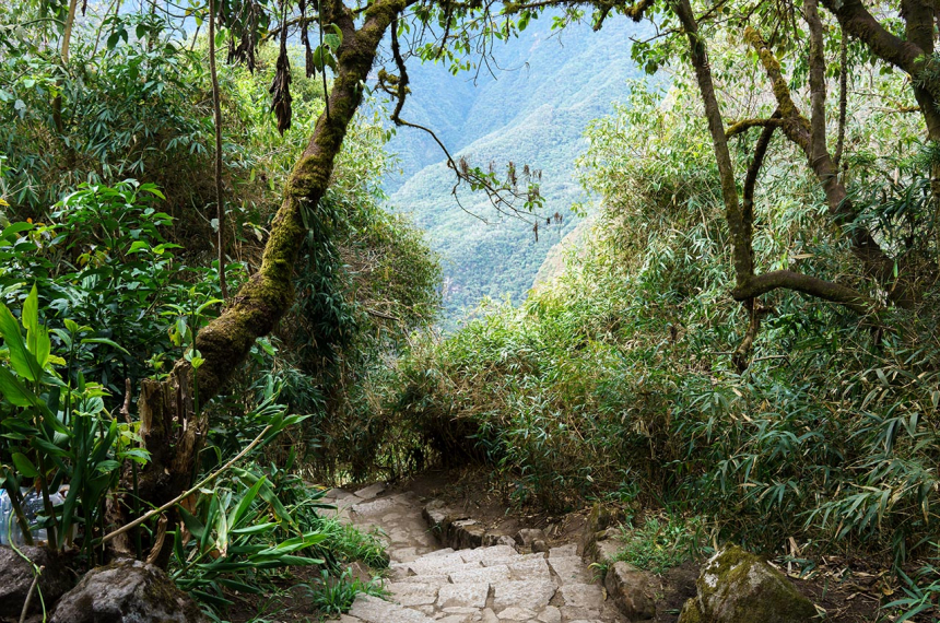 inca-trail-1-600x398.jpg inca-trail-1-600x398.jpg
