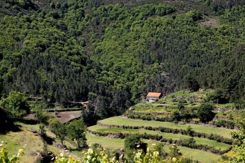 dag-4_Loriga-terrassenwandeling-004