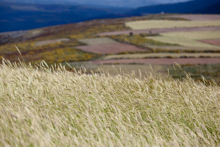 dag-5_-PR-15-rota-do-Covao-de-Santa-Maria----004