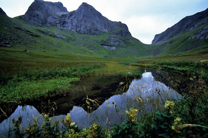 lofoten2-600x398.jpg lofoten2