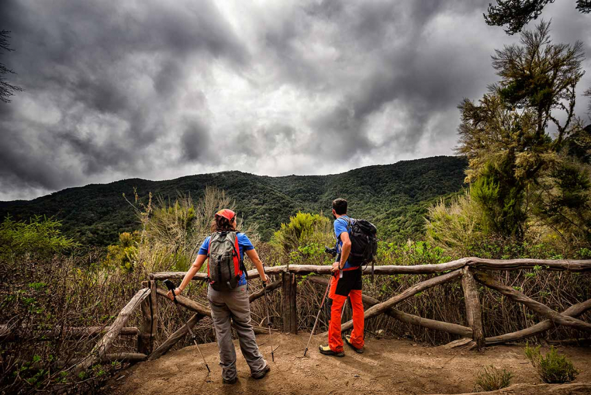 Mooi uitzicht in en over Parque Nacional de Garajonay