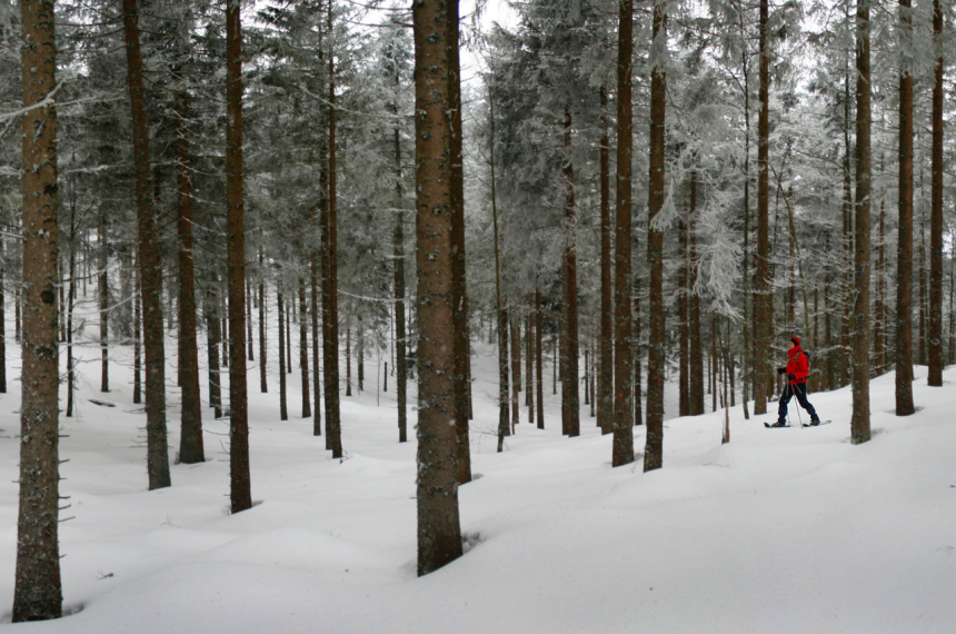 sneeuwschoenwandelen-zwarte-woud-02