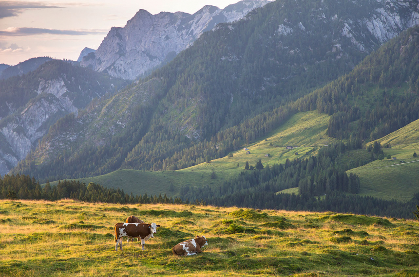 wandelen-almen-oostenrijk-12