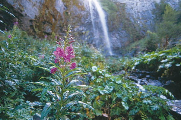 wandelen-auvergne-frankrijk-05-600x398.jpg wandelen-auvergne-frankrijk-05