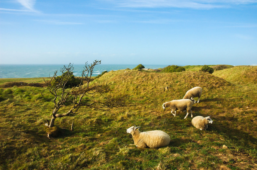 wandelen-côte-dopale-1-600x398.jpg Côte d'Opale. Foto: Kees Lucassen.