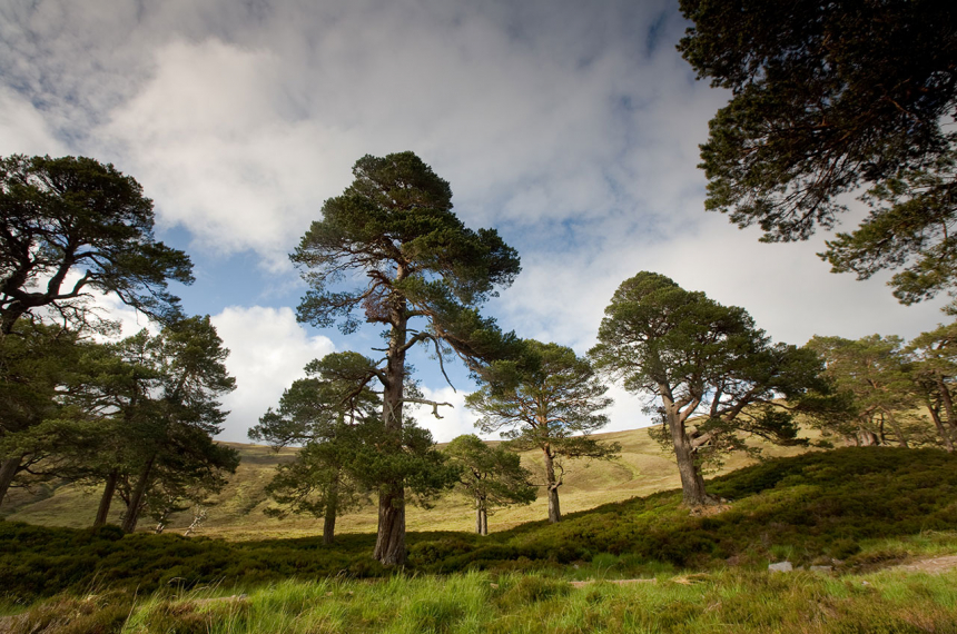 wandelen-cairngorms-2