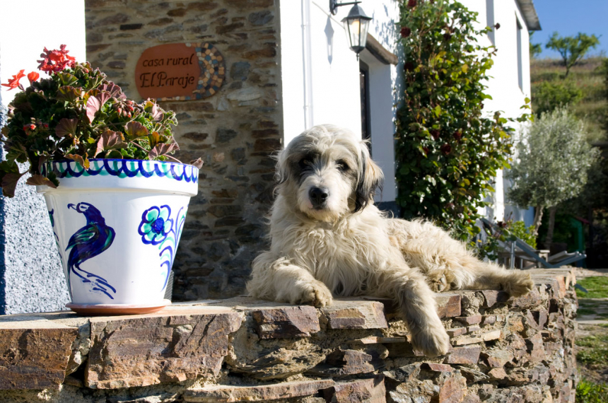 El Paraje in Bérchules van het Belgische echtpaar Brenda en Filip.