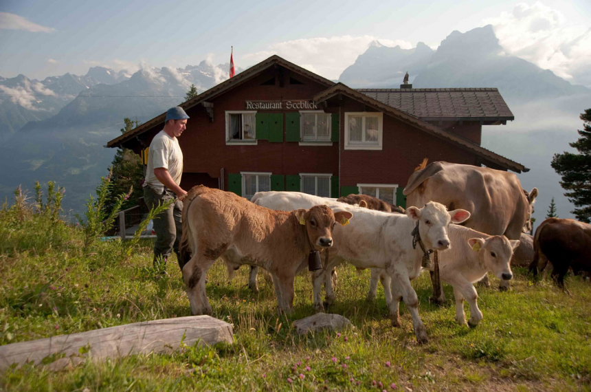 wandelen-urner-alpen-zwitserland-11
