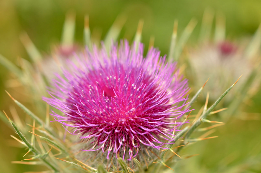 wandelen_ordesa_spanje_pyreneeen_ernst_kremers_06