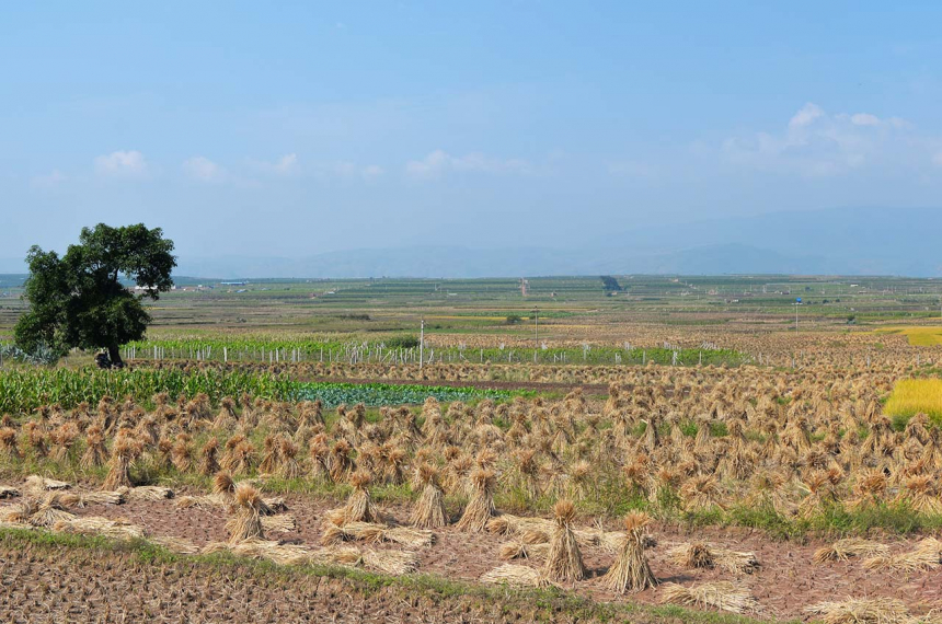 yongsheng-600x398.jpg yongsheng-600x398.jpg